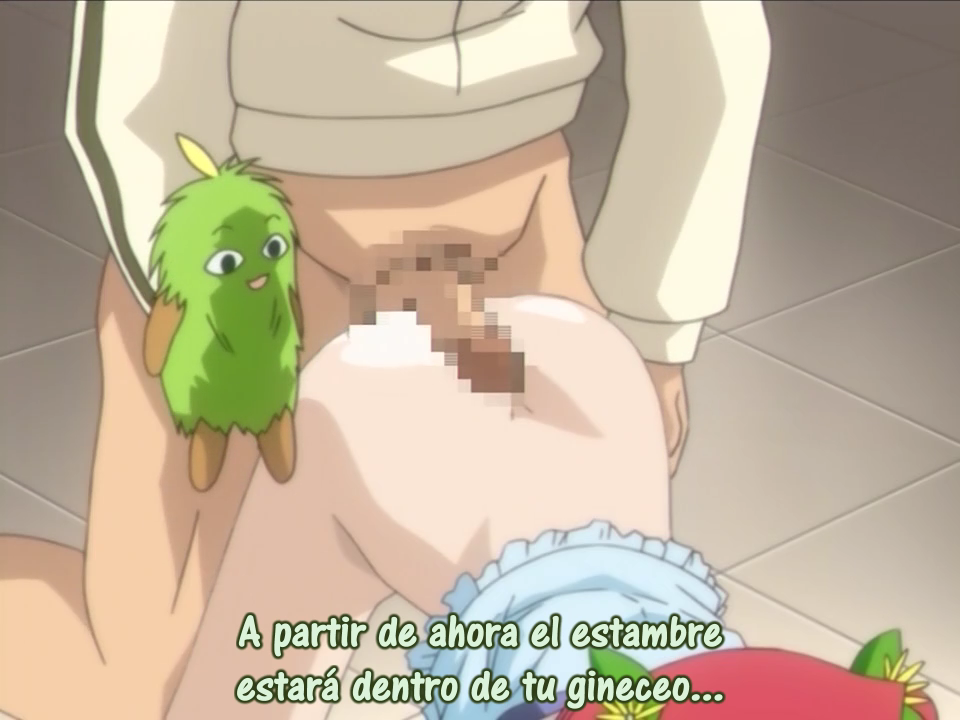 Choisuji (Bakunyū Fansub)